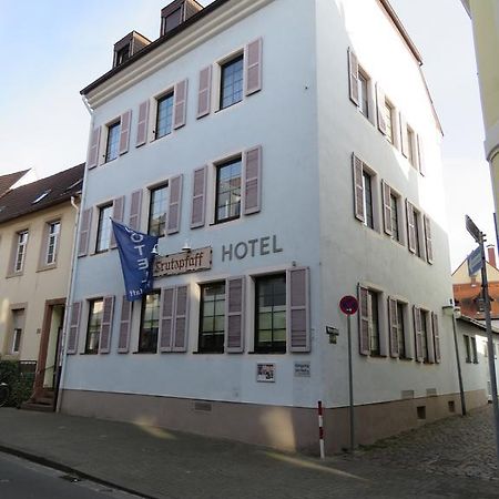 Hotel Trutzpfaff Σπάιερ Εξωτερικό φωτογραφία